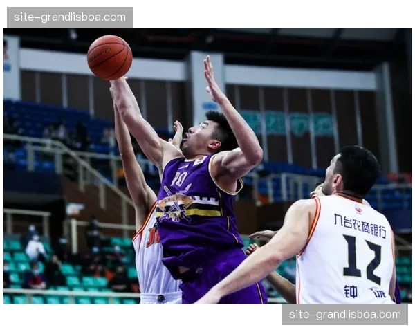 福建外线投射效率提升 三分命中率成爆冷关键因素 福建外线投射效率提升 三分命中率成爆冷关键因素